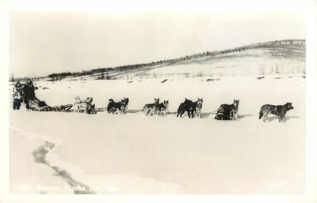 RPPC Postcard; Famous Alaska Dog Sled Team, Johnston Photo 589 Unposted