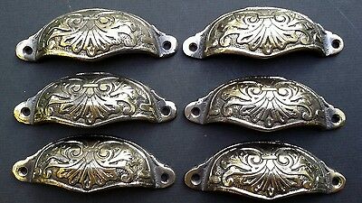 6 Apothecary Drawer Pull Handles "POLISHED" brass 3-1/2"c. Ant. Vict. Style #A1