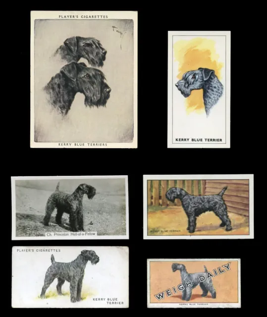 KERRY BLUE TERRIER DOG TRADE & CIGARETTE CARDS - collection of 6 all original