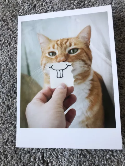 Perfect Cat Lovers Happy Birthday Card !!