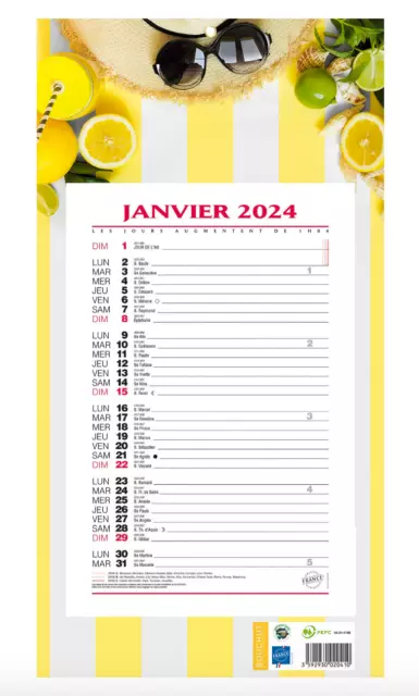 Bouchut Calendrier Bloc Mensuel 2024 à Feuillets Végétal Format 19x36 cm  Neuf