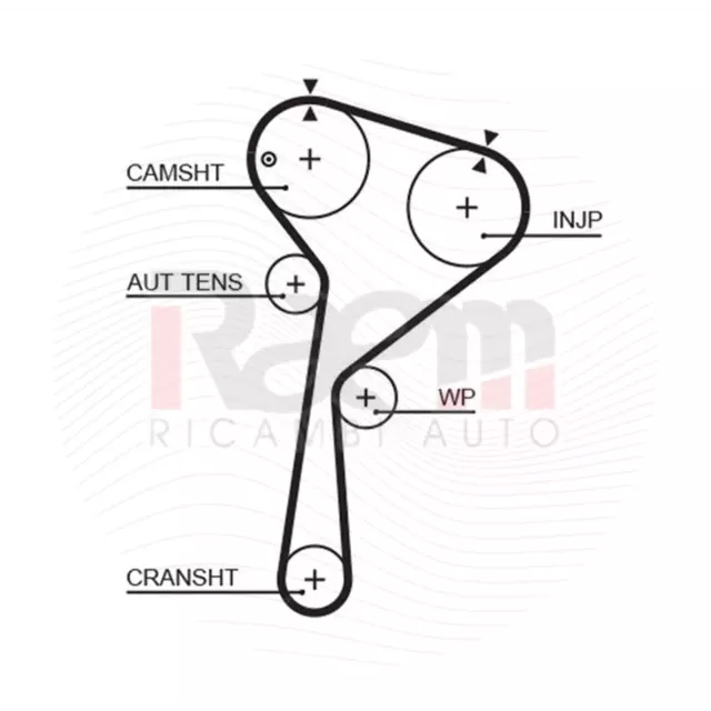 Kit Courroie de Distribution + Pompe Eau Powergrip Adapté pour Renault et Nissan