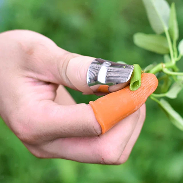 2 Stücke Gartenarbeit  Daumenmesser Finger Pflanze Obstpflückmesser Separator