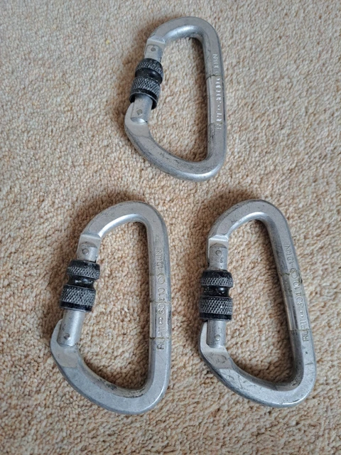 Black Diamond Hotforge Screwgate Carabiner - Mousqueton