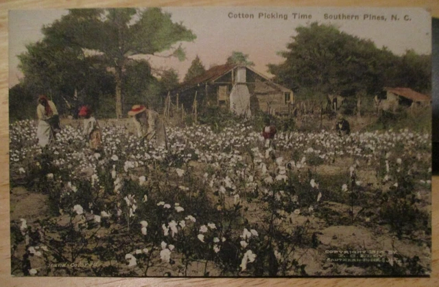 Antique 1914 Black Americana Post Card Southern Pines NC Cotton Noth Carolina