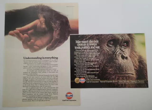 Jane Goodall "Among The Wild Chimpanzees" PBS 1984 2 Ads Natural History ~8x11"
