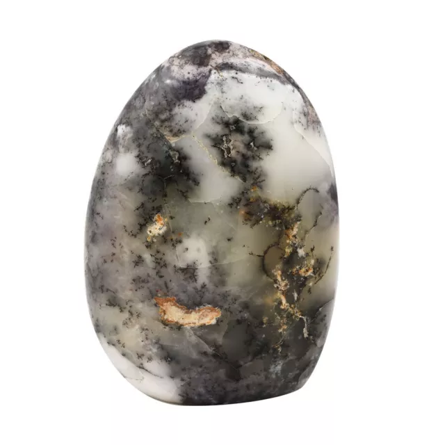 Gem Treasures - White Agate - Dendrite Free Form Approx.5000 cts.