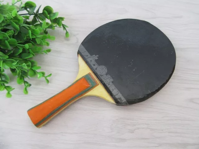 5Set Ping Pong Table Tenis Sport Round Bats 3