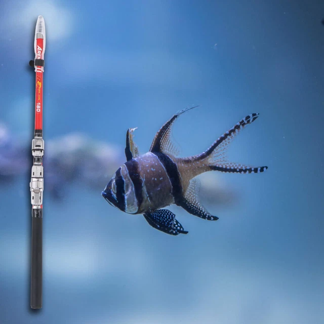 Canna Da Pesca Telescopica In Fibra Di Carbonio ZYDYZ - Lunghezze Da 1.8m A 3.6m, Con Manico In Sughero E Guide In Ceramica