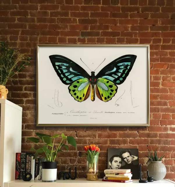 Green Butterfly Painting Wall Art poster Choose your Size