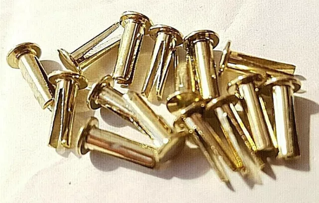 Rivets n. 11 rivetto gamba divisa biforcato in ottone lungo 10 mm pelle molti usi