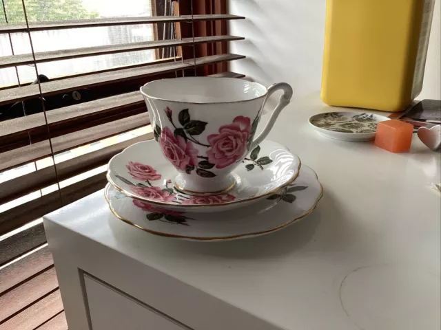 Queen Anne Fine Bone China tea cup saucer and plate