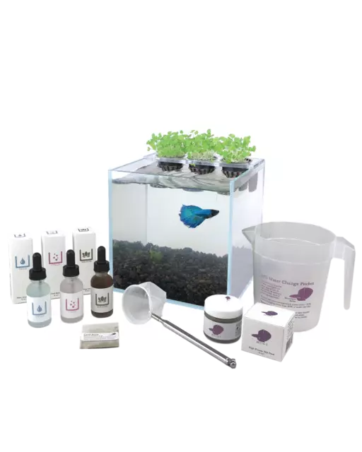 Boutique Betta 2.1 gal Rimless Aquarium Complete Kit With Planter Lid and More!