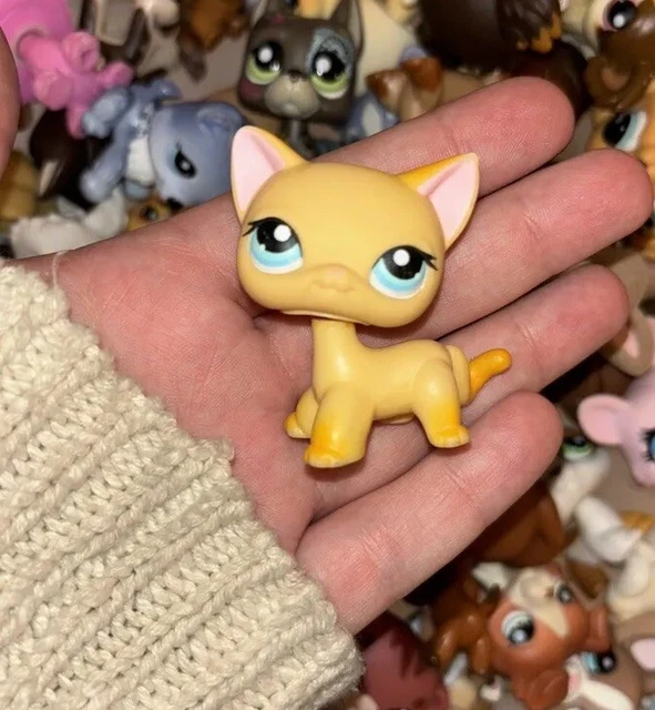 LITTLEST PET SHOP LPS Authentic 339 Shorthair Cat Yellow Blue Eyes