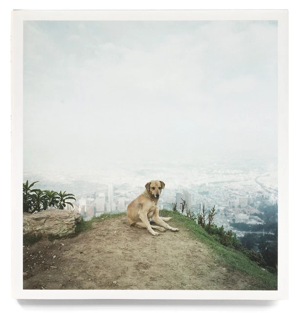 Dog Days Bogota, Alec Soth, Brand new, mint condition, photography