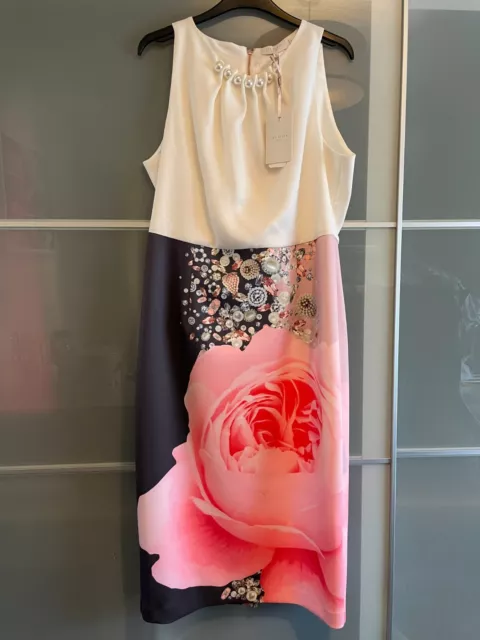 Ted sales baker rubelle