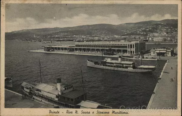 Italy Trieste View of Port Cesare Capella Postcard Vintage Post Card