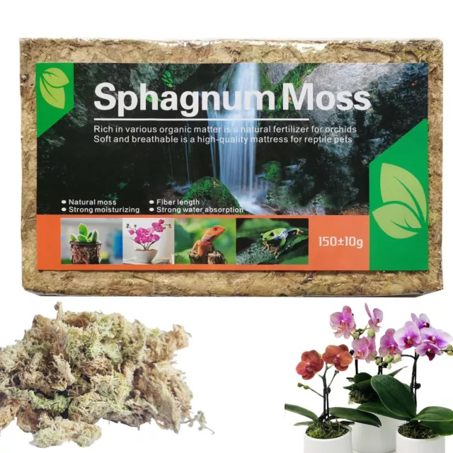 NATURAL SPHAGNUM MOSS Dried Natural Orchid Potting Maintain Help with ...