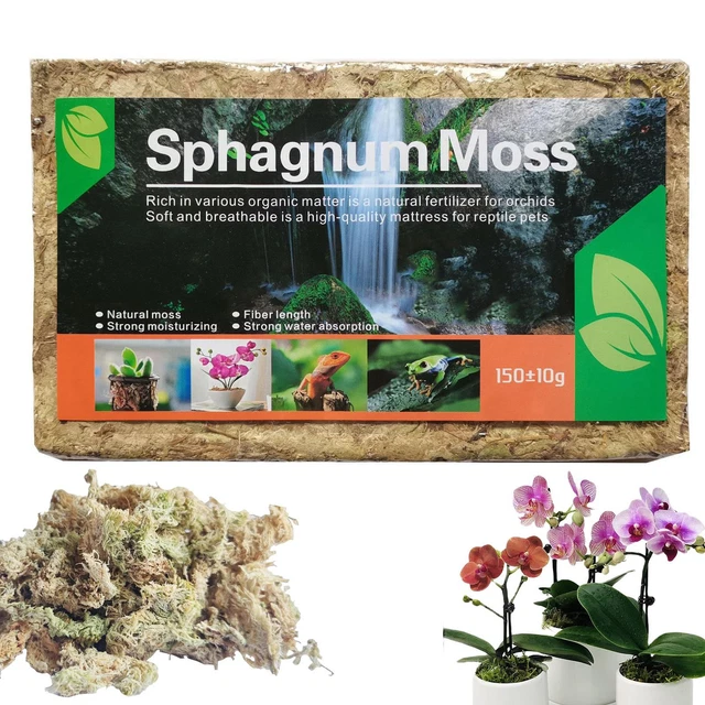 NATURAL SPHAGNUM MOSS Dried Natural Orchid Potting Maintain Help with