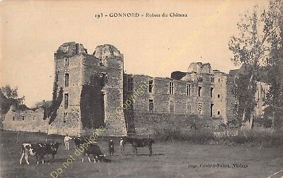 CPA 49670 Gonnord Ruins of / The Castle Edit Goubin Faure