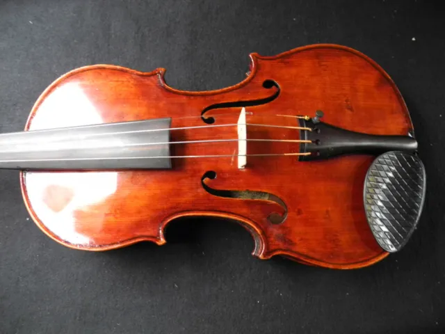 wonderfull old violin, violon, label