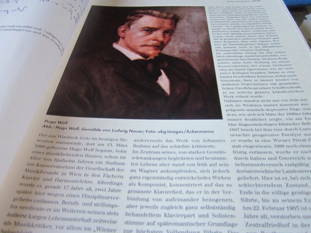 KAISERREICH ARCHIV N5 5120 Hugo Wolf Komponist 18601903 Bild Nauer EUR