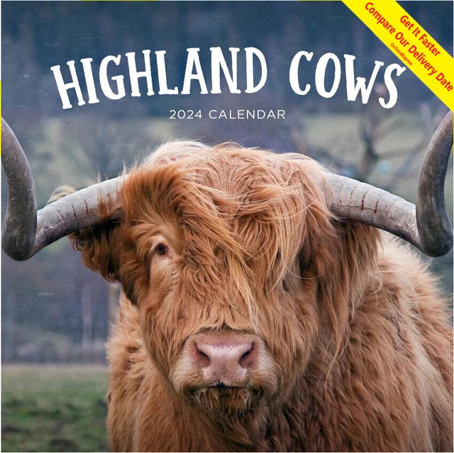2025 CALENDAR HIGHLAND Cows Square Wall by Paper Pocket 30cm x 30cm 17