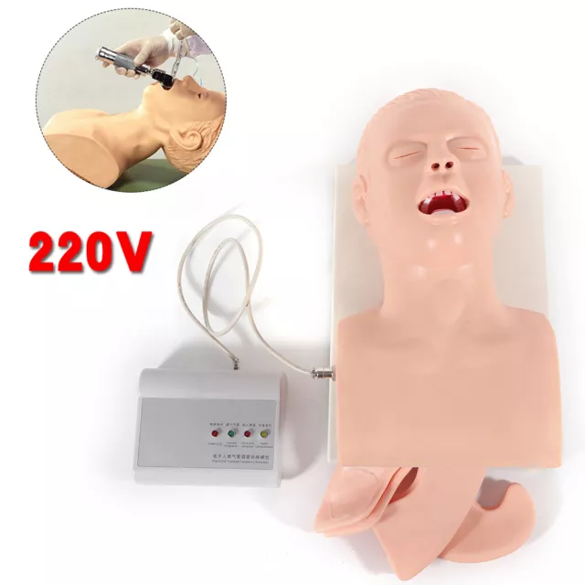 Intubation Demo Teach Model Training Manikin Oral Airway Nasal Simulator