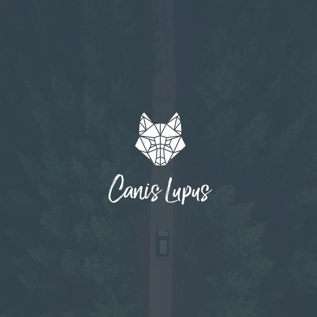 SACHS Molle Ammortizzatori Per OPEL ASTRA Posteriori E