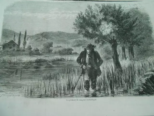 Gravure 1857 - Un pecheur de sangsue en Bretagne