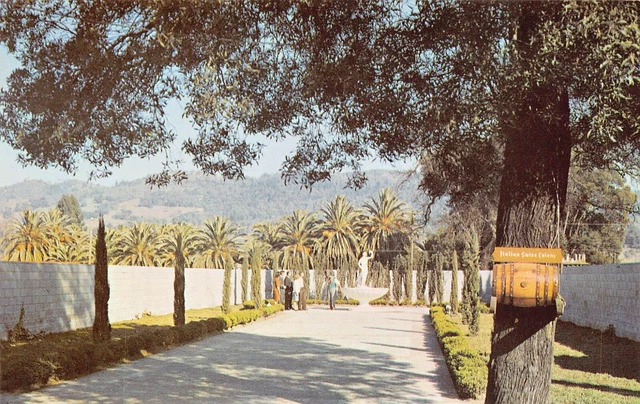 Asti CA California Italian Swiss Winery Bacchus Mythology Statue Vtg Postcard Z7