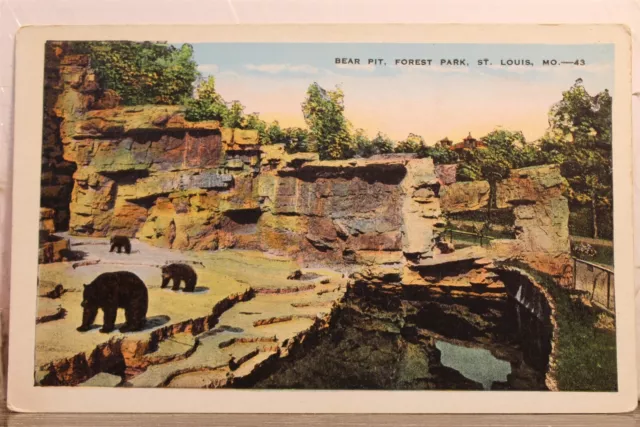 Missouri MO St Louis Forest Park Bear Pit Postcard Old Vintage Card View Post PC