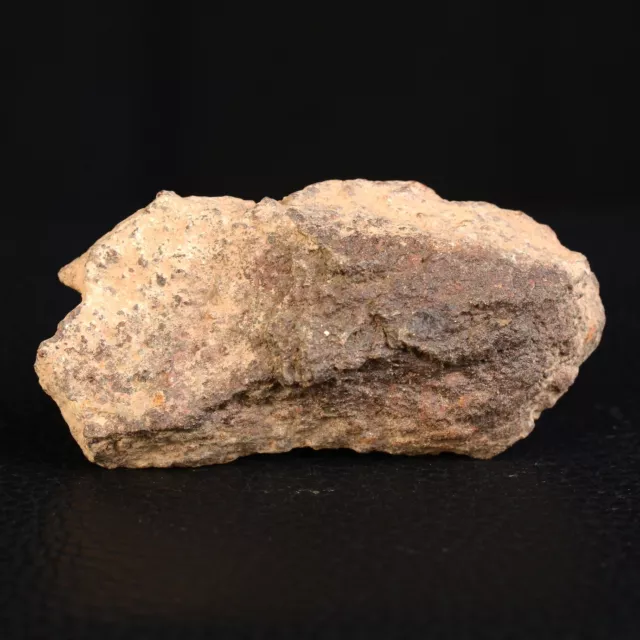 Meteorit, Chondrit Jiddat Al Harasis 055 - Jah 055, Oman 29,14 G C023.12 #3