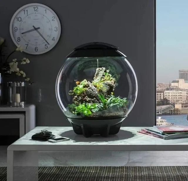 Biorb Air 60L Grey Terrarium Tank Led Lighting Heated Tropical Plants Reptile 4