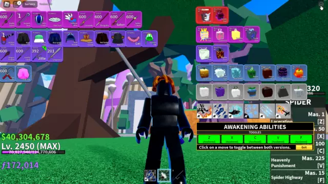 Blox Fruit Account Lv:2450Max, Fall Awaken Rumble, Soul Guitar, Unverified Account