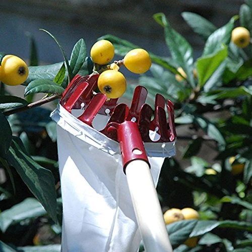 Home-organizer Tech Fruit Picker Package Useful Fruit Picker Gardening Apple ...