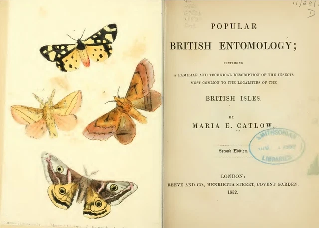 170 RARE VINTAGE Insects Books on USB - Entomology, Specimens ...