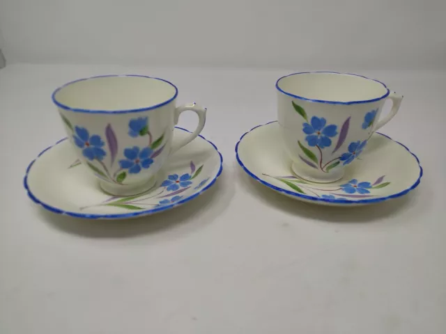 ART DECO ? PLANT TUSCAN CHINA CUP & SAUCER with BLUE FLOWER decoration (2)