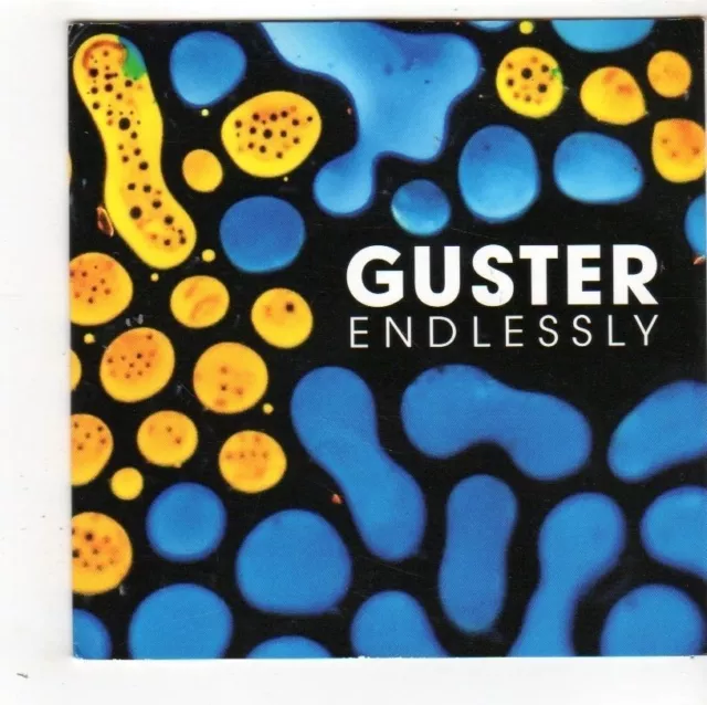 (FY300) Guster, Endlessly - 2014 DJ CD