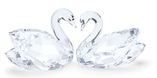 Swarovski à Plumes Beautés Swan Couple 5493713