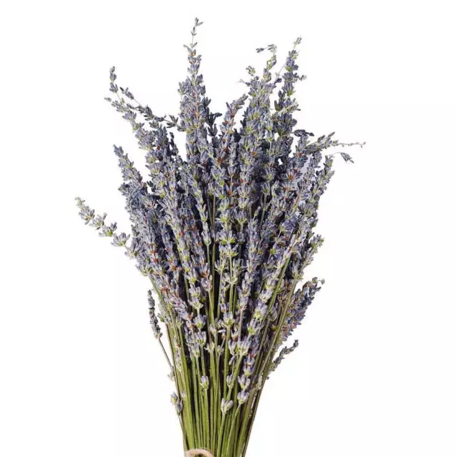 Natural Dried Lavender Flower Stem Bunch 2