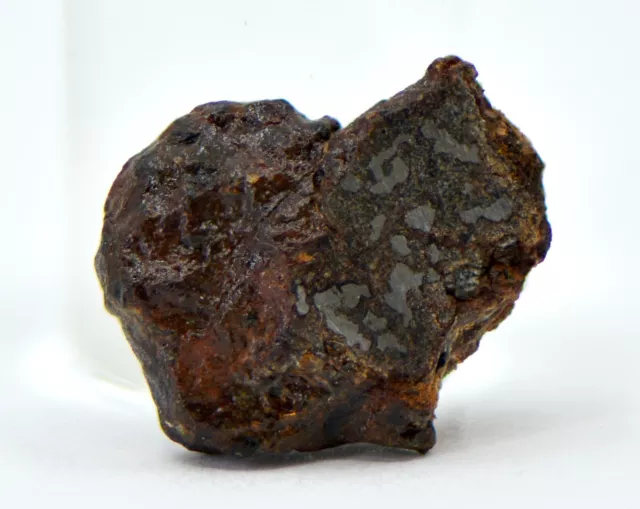 1.75g Mesosiderite Meteorite I NWA 8291 - TOP METEORITE