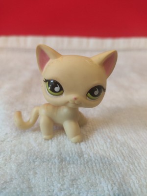 Figurine Petshop Chat Europeen Blanc Rare Eur 4 99 Picclick Fr