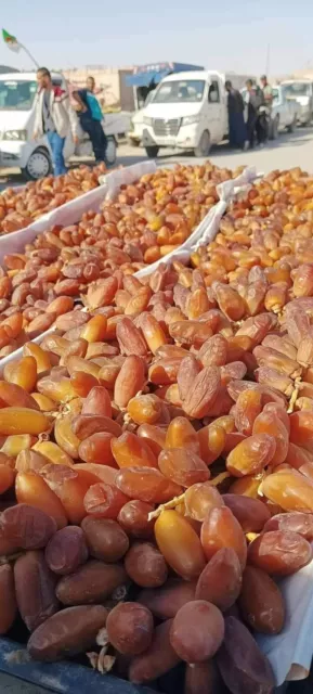 5 Kg (11LBs) Fresh Branched Deglet Noor dates from Algeria