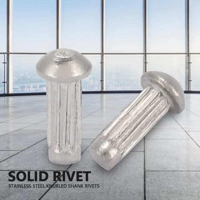 100 pz M2 set assortimento rivetti solidi gambo testa rotondo in acciaio inox (M2*6)