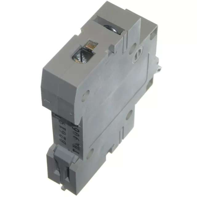 MCB Circuit Breaker 6A 10A 16A 20A 25A 32A 40A 50A 63A Type B Single Pole SP New 3