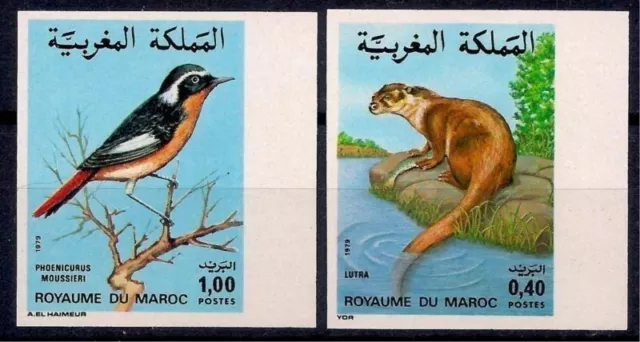 Morocco 1979 Birds Songbirds/ Moussier's redstart Animals/ Otter Imperf MNH/1