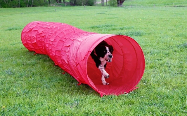 Tunnel per cani tunnel di gioco grotta per cani tunnel agility Kerbl allenamento borsa da trasporto rossa