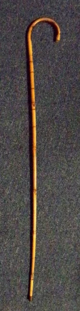 Vintage Bamboo Cane Walking Stick