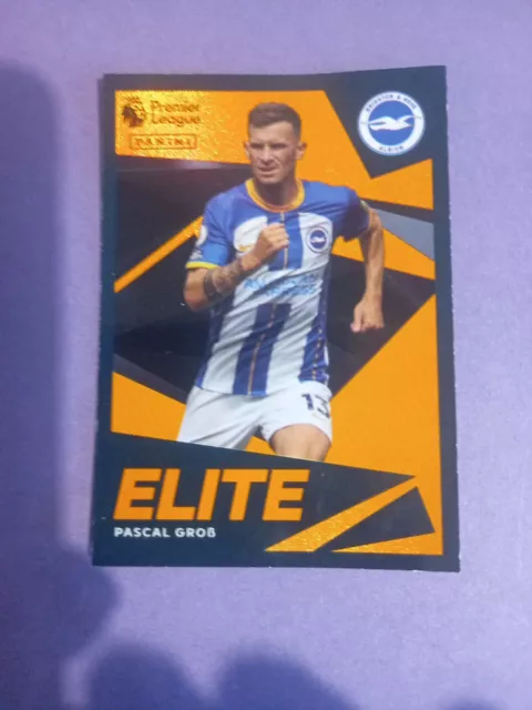 Panini PREMIER LEAGUE 2023 - ELITE PARALLEL - ORANGE PASCAL GROSS #317 *SELTEN*